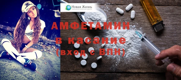 шишки Абаза
