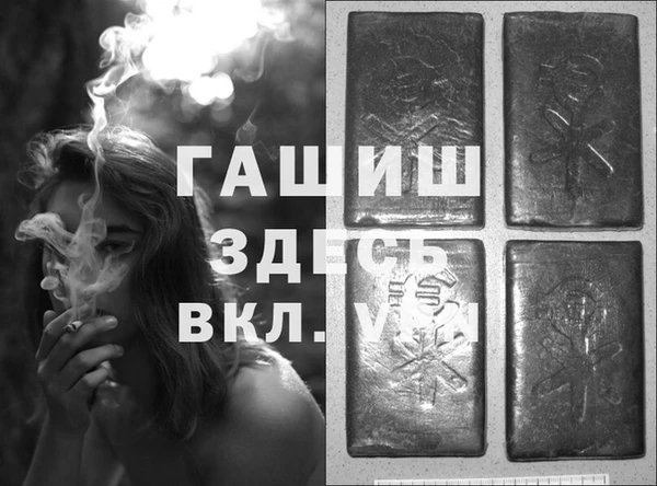 шишки Абаза