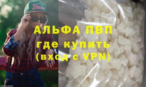 стаф Коряжма
