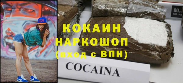 шишки Абаза